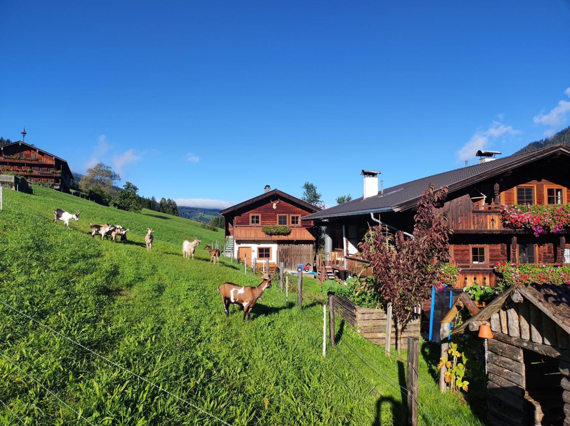 Ferienwohnungen Schneiderhaeusl Alpbach Exterior foto